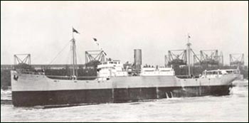 Steel Voyager