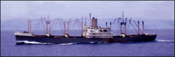 Steel Age